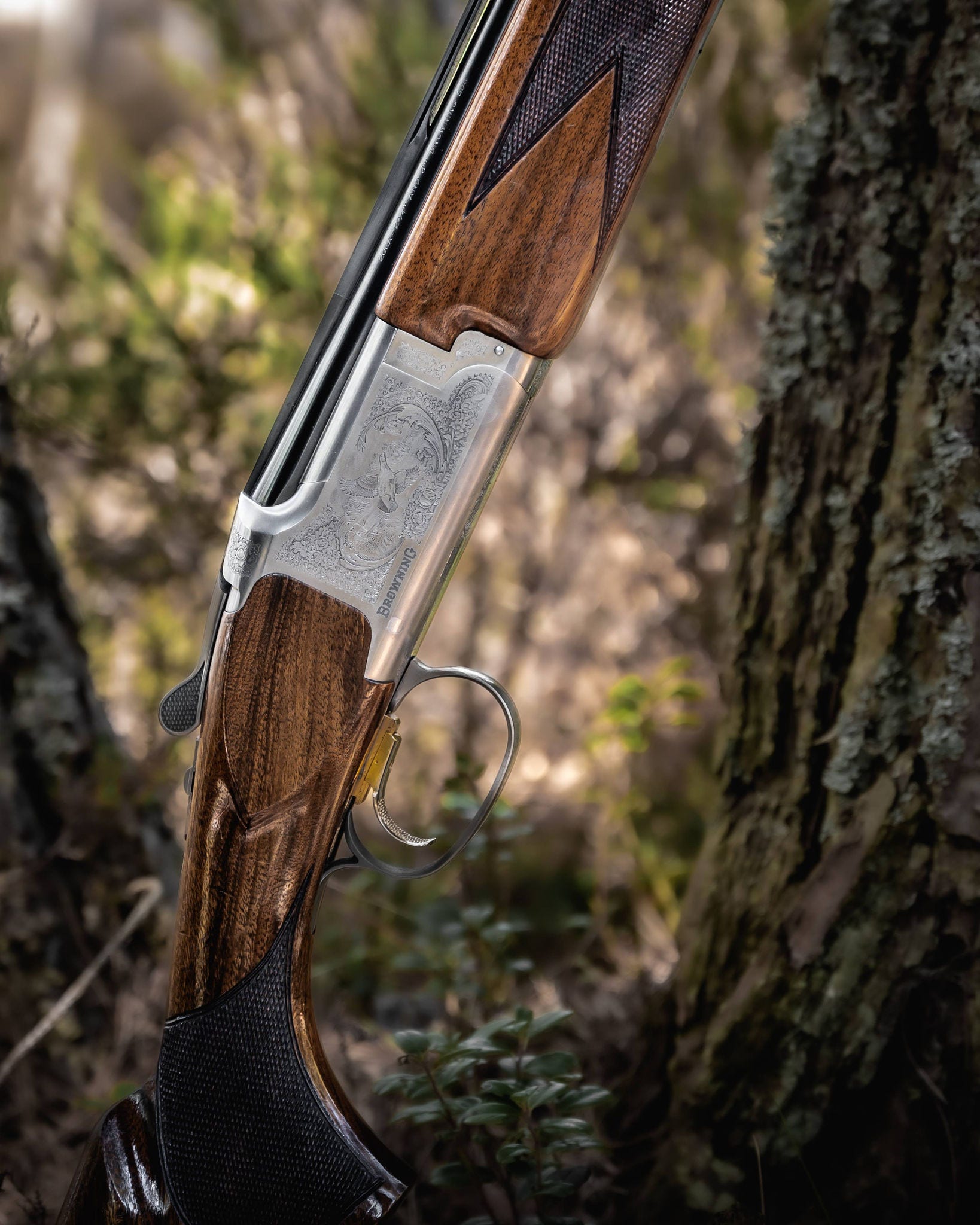 Promoción especial B525 caza y tiro